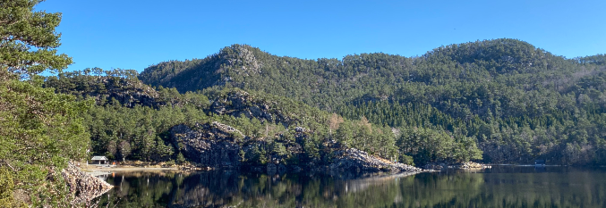 Ti på Topp Bergen - Fellestur til Lyngbønipa (GRATIS!)